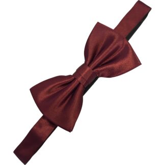 Adult Mens Polyester Burgundy Ready Tied Fashion Bow Tie