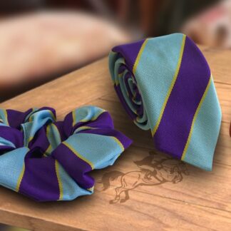Children's Pony Club Equestrian Cadet Tie and Hair Scrunchie Purple and Blue Stripes with Gold
