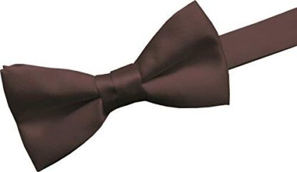 GBTC Boys Kids 100% Satin Bow Ties