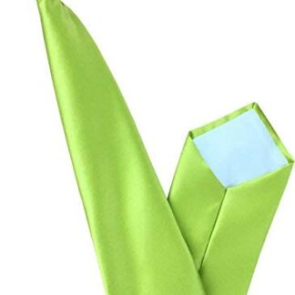 Mens Lime Green 100% Satin Clip On Tie GBTC
