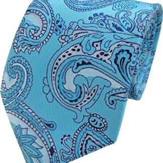 Mens Paisley Woven Neck Ties