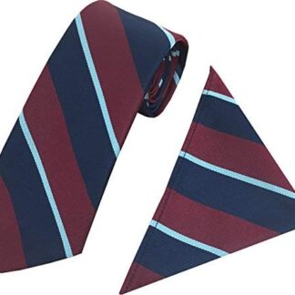 RAF Regimental Tie & Hanky Set