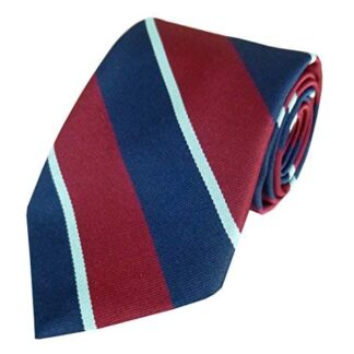 RAF Royal Air Force Regiment Tie