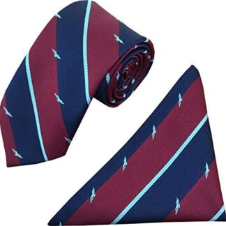 RAF Wings Regimental Tie & Hanky Set
