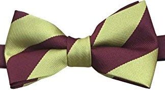 Royal Regiment of Fusiliers (Ready-Tied) Regimental Bow Tie
