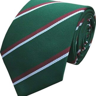 The Staffordshire Regiment Tie