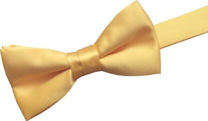 GBTC Boys Kids 100% Satin Bow Ties - Image 10