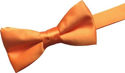 GBTC Boys Kids 100% Satin Bow Ties - Image 17