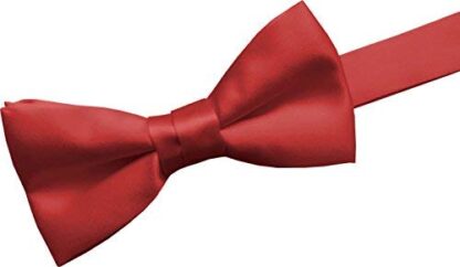 GBTC Boys Kids 100% Satin Bow Ties - Image 20