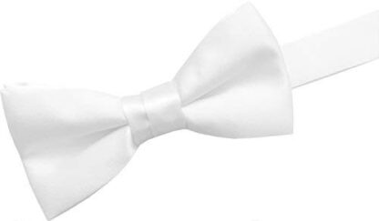 GBTC Boys Kids 100% Satin Bow Ties - Image 25