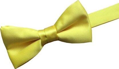 GBTC Boys Kids 100% Satin Bow Ties - Image 26