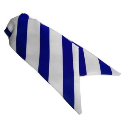 Ladies Striped Clip On Cravats - Image 5
