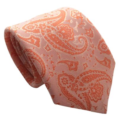 Mens High Quality Paisley Neck Ties - Image 5