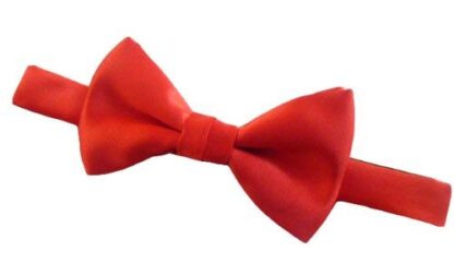 St Valentines Day Ties & Bow Ties - Image 3