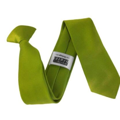 Italian Satin Skinny Thin Clip On Ties - Image 13