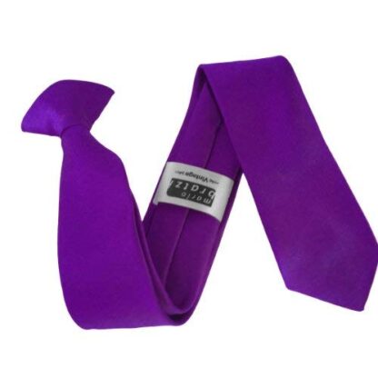 Italian Satin Skinny Thin Clip On Ties - Image 16