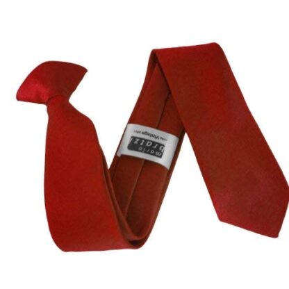 Italian Satin Skinny Thin Clip On Ties - Image 17