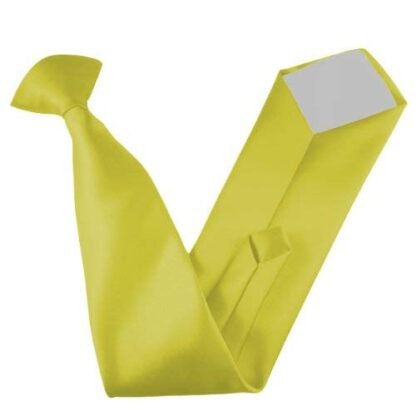 Italian Satin Skinny Thin Clip On Ties - Image 23